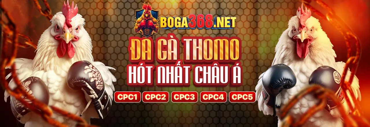 Đá Gà Trực Tuyến 13win